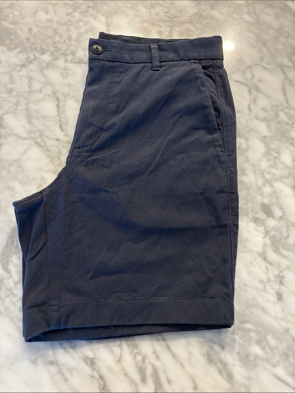 Everlane Navy Flat-Front Men's Shorts